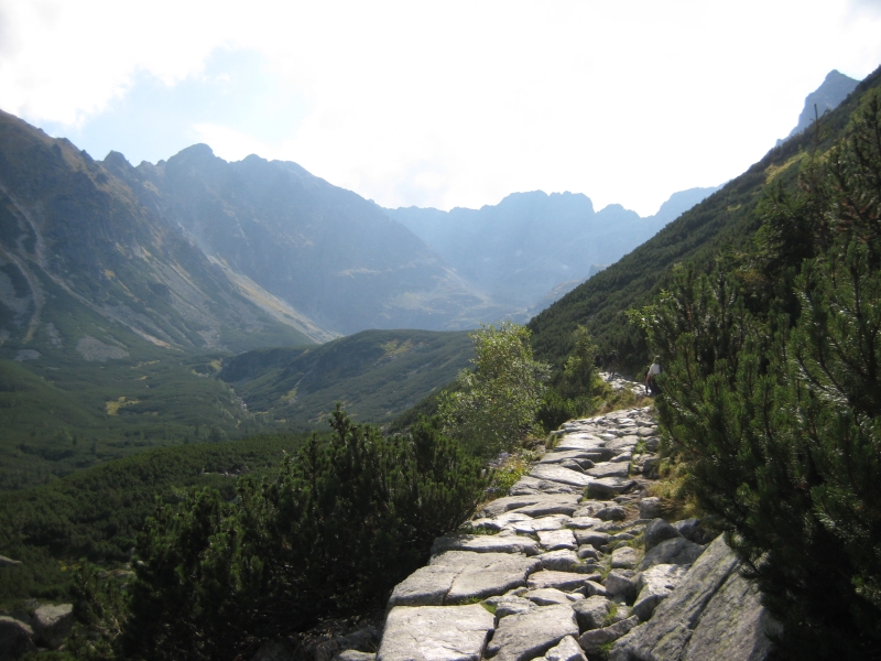 Sieżka w Tatrach