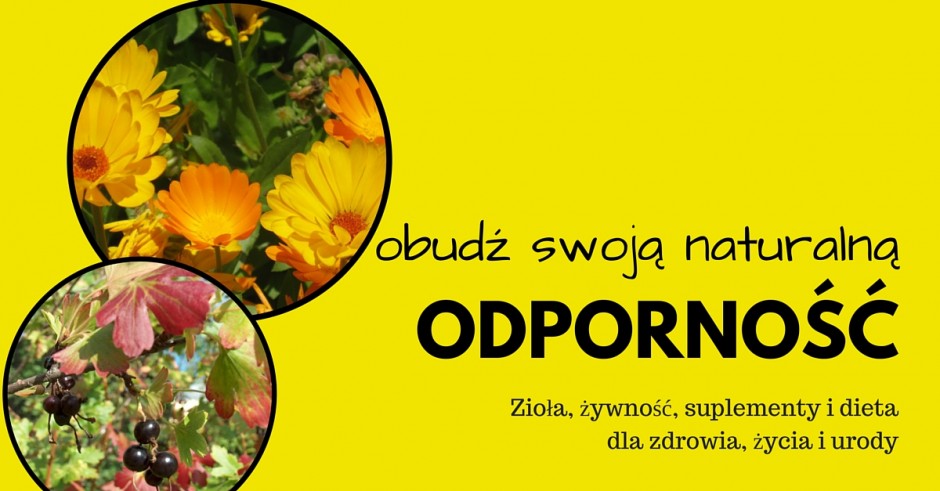 Obudź Swoją Naturalną Odporność. Zioła, żywność, suplementy i dieta dla zdrowia, życia i urody – TERMIN: do ustalenia Warsztaty/terminy