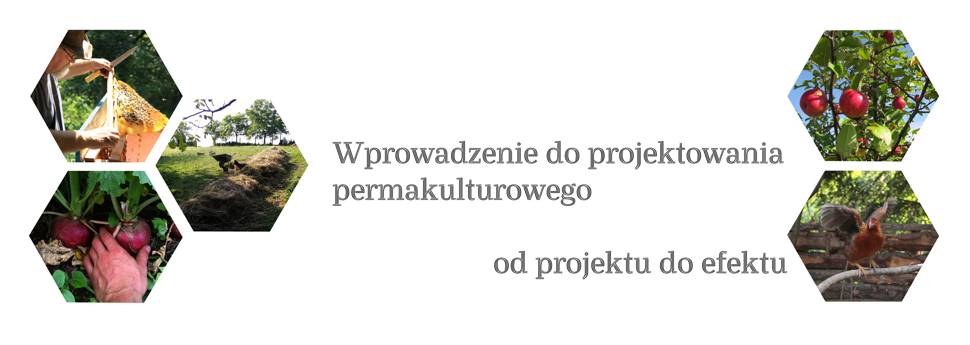WPROWADZENIE DO PROJEKTOWANIA PERMAKULTUROWEGO – od projektu do efektu TERMIN – do ustalenia Warsztaty/terminy