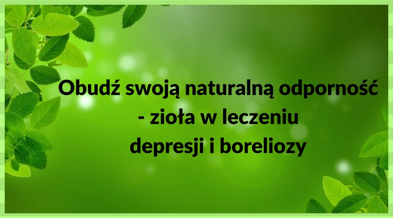 WARSZTATY: Obudź swoją naturalną odporność – zioła w leczeniu depresji i boreliozy – TERMIN: 12 sierpnia 2017 Warsztaty/terminy