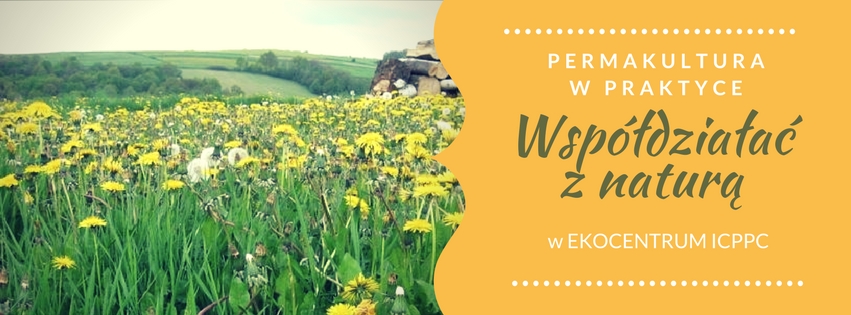 Permakultura w praktyce. Współdziałać z Naturą – TERMIN:do ustalenia Warsztaty/terminy
